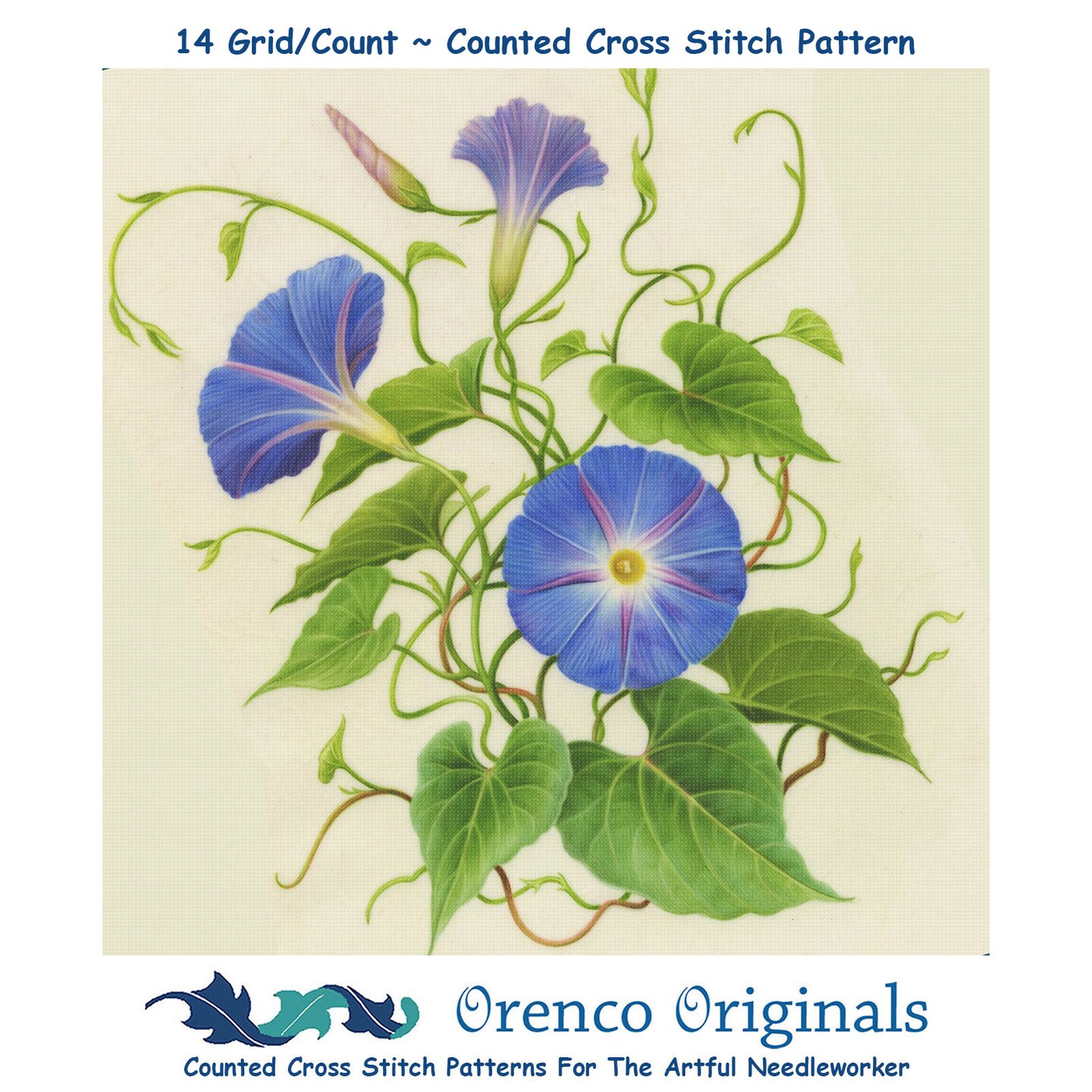 Orenco Originals Redoute Morning Glory Flower -Square Counted Cross Stitch Pattern