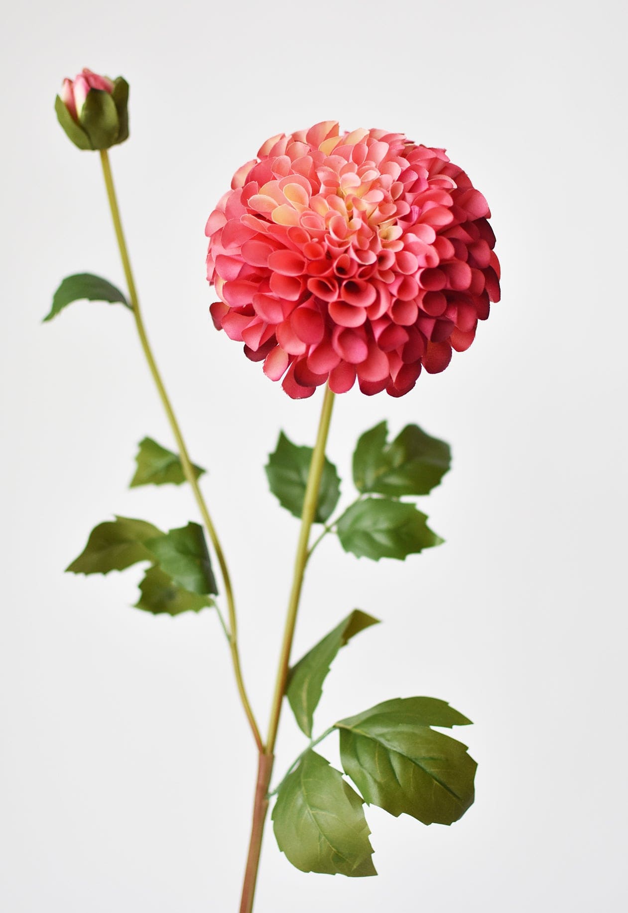 31&#x22; Faux Dahlia Stem Two Tone Rose
