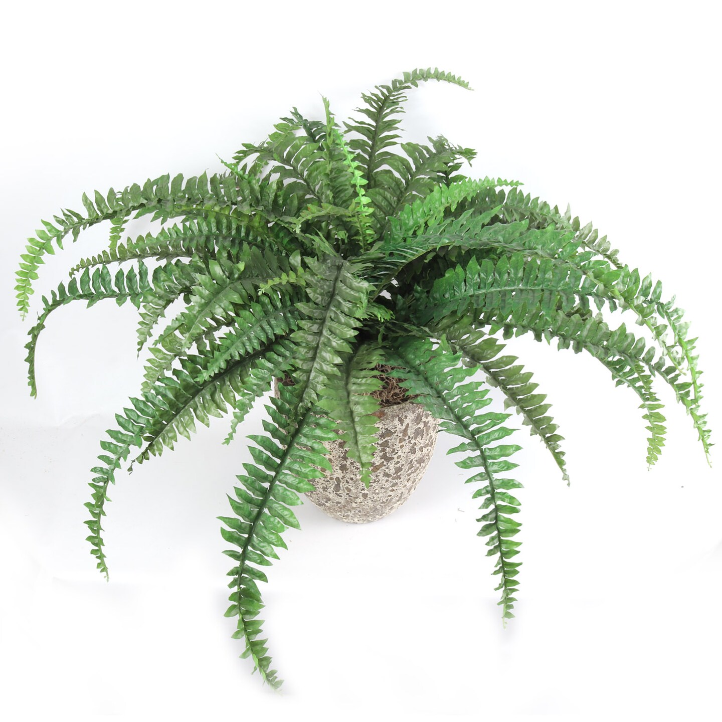 Boston Fern Plant with 48 Realistic Silk Fronds, 32&#x22; Wide, Faux Greenery by Floral Home&#xAE;