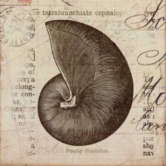 Ocean Collection II Poster Print by Sabine Berg - Item # VARPDX18235