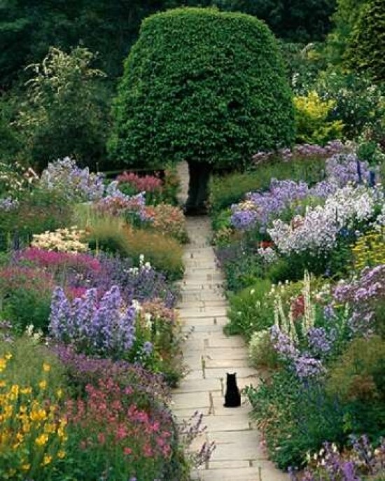 The Garden Cat Poster Print by Greg Gawlowski - Item # VARPDXG449D