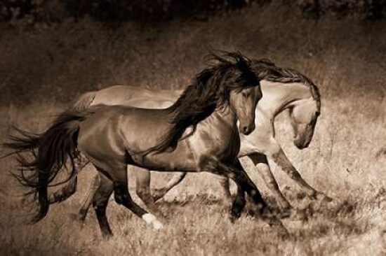 The Dance Poster Print by Lisa Dearing - Item # VARPDXD776D
