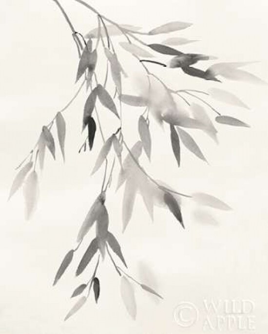 Bamboo Leaves IV Poster Print by Danhui Nai - Item # VARPDX29067