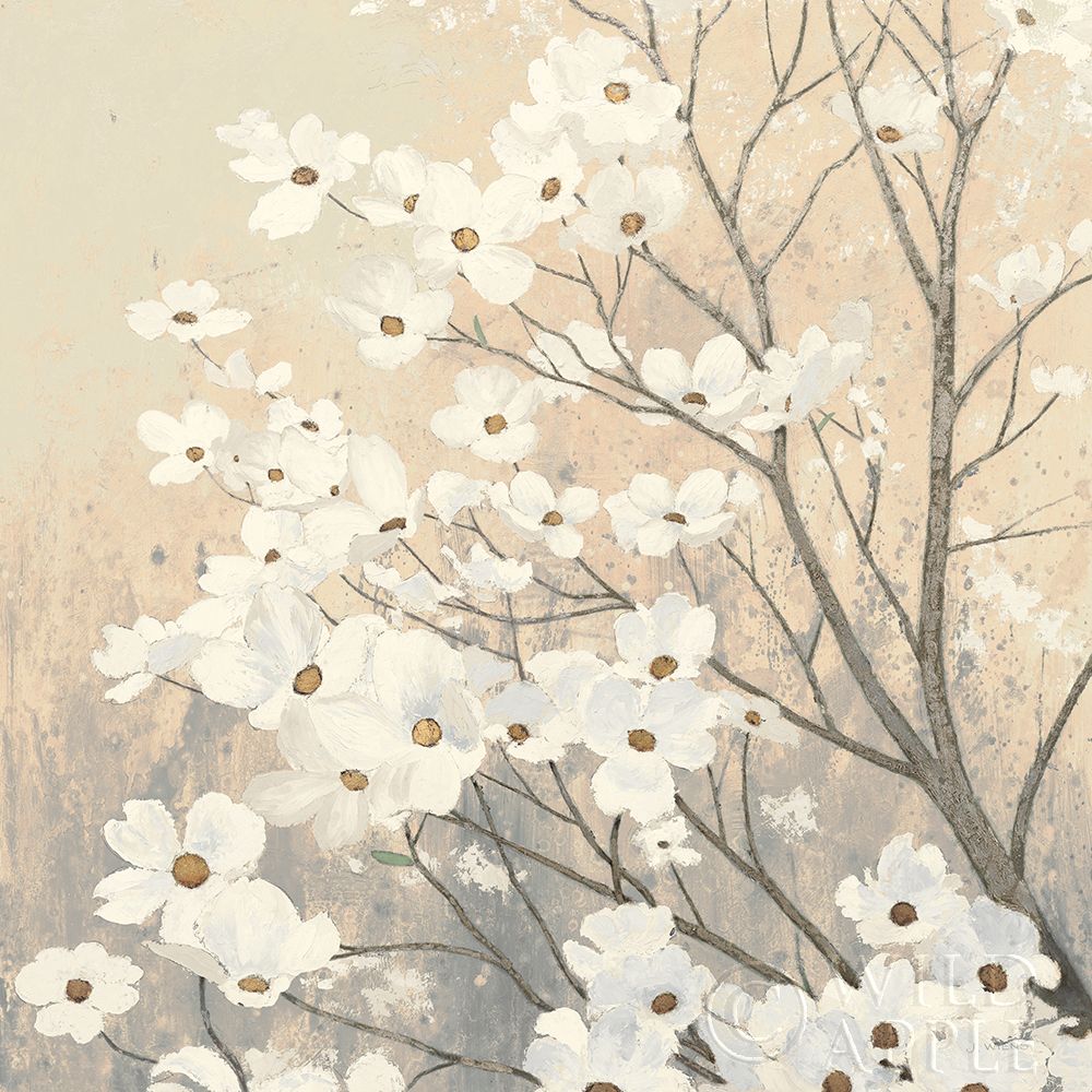 Dogwood Blossoms II Neutral Poster Print by James Wiens - Item # VARPDX41473