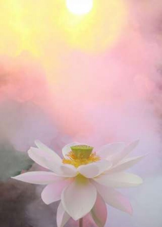 Beauty at Dawn Poster Print by Bahman Farzad - Item # VARPDXF470D