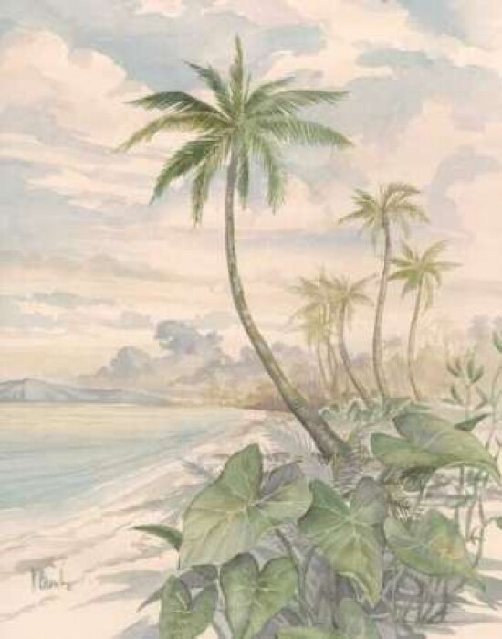 Cabana Bay II Poster Print by Paul Brent - Item # VARPDXBNT013