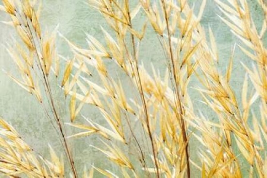 Golden Grasses Poster Print by Kathy Mahan - Item # VARPDXPSMHN629