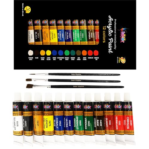 Acrylic Paint Set 12 Colors (0.41 oz, 12 ml) Paint Kit For Artists &#x26; Beginners Craft Paints for Paper,Canvas,Rock Painting,Wood,Ceramic &#x26; Fabric -Vibrant colours-Non-Toxic including 3 paint brushes