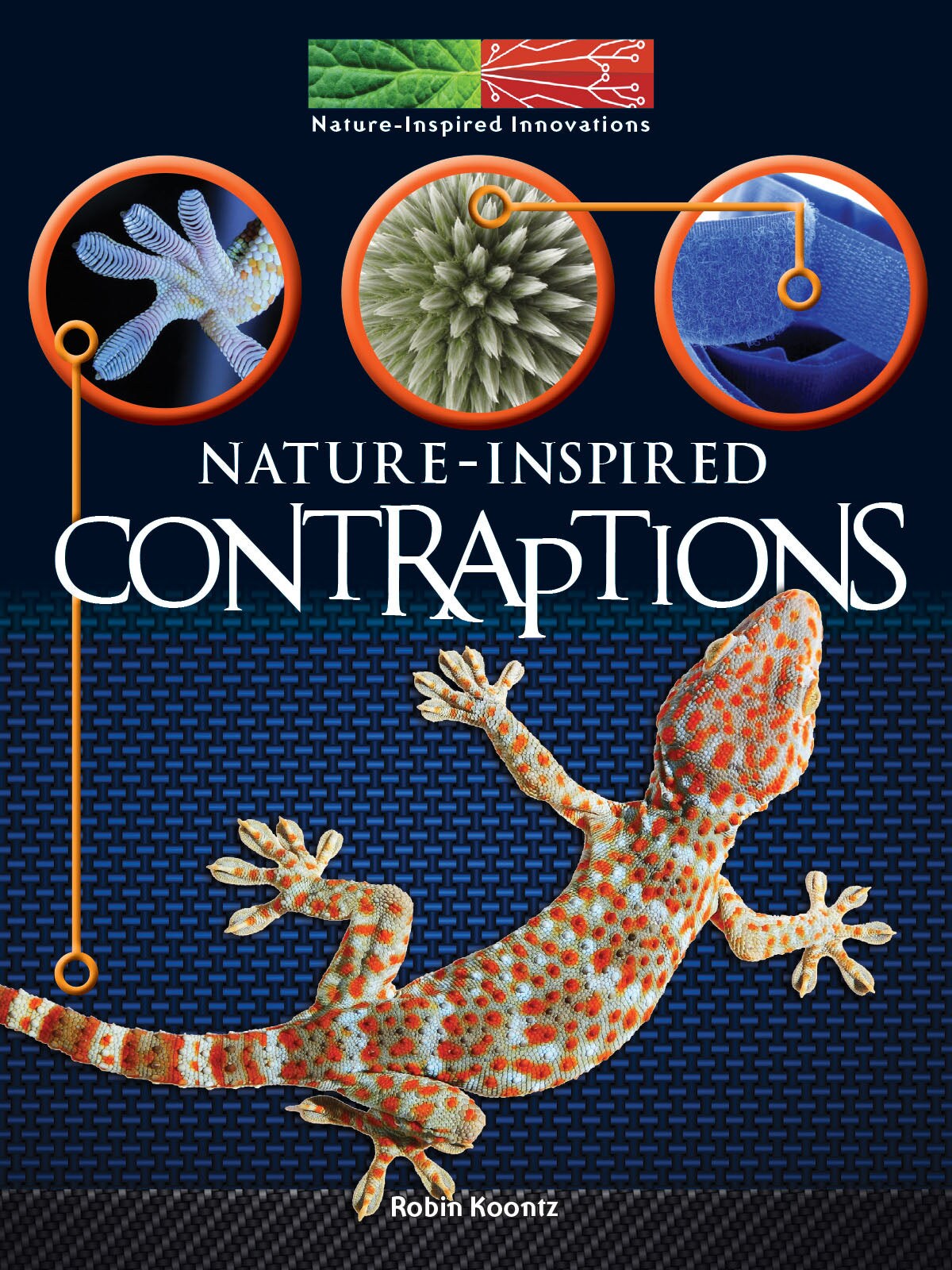 Rourke Educational Media Nature Inspired Contraptions Reader Michaels 2450