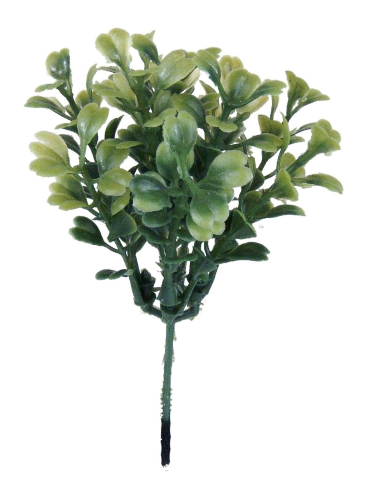 288-Pack: Real Touch Green Boxwood Picks, 4" Wide, Floral Home by Artificial Flowers