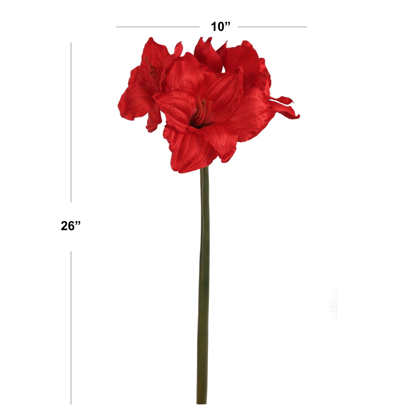 28" Red Amaryllis Stem - Set of 12, Lifelike Silk Flowers, Elegant Holiday Décor, Perfect for Christmas, Events & Home Displays, Floral Home by Artificial Flowers