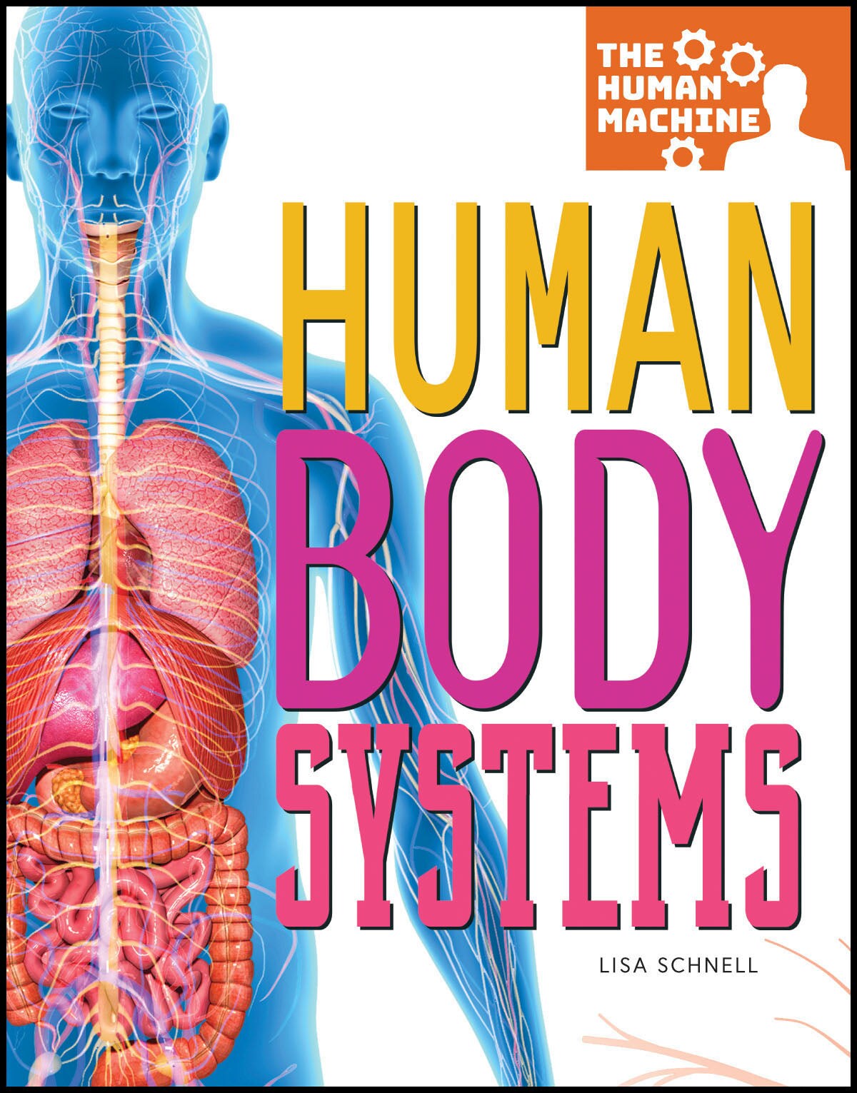 Rourke Educational Media Human Body Systems