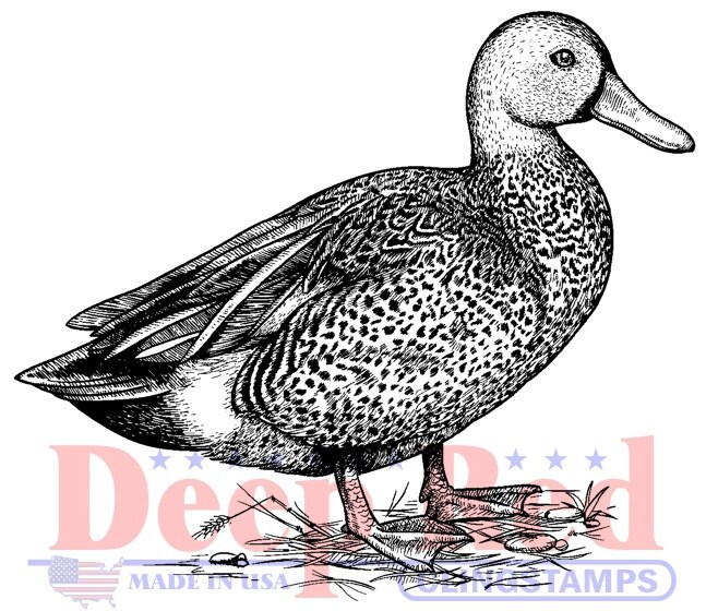 Deep Red Stamps Gadwall Duck