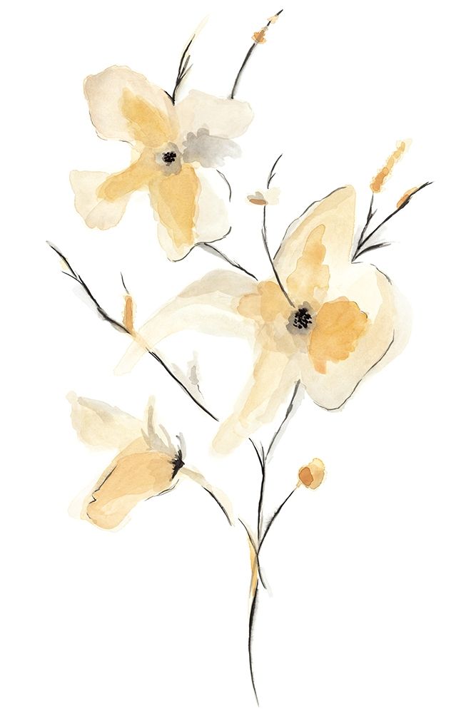 Morning Glory I Poster Print by Corrie Golden - Item # VARPDXPOD60477