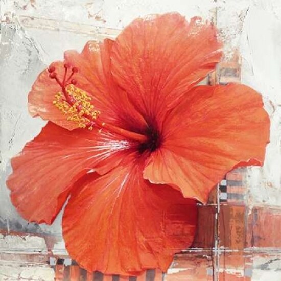Hibiscus I Poster Print by Enrico Sestillo - Item # VARPDX7149