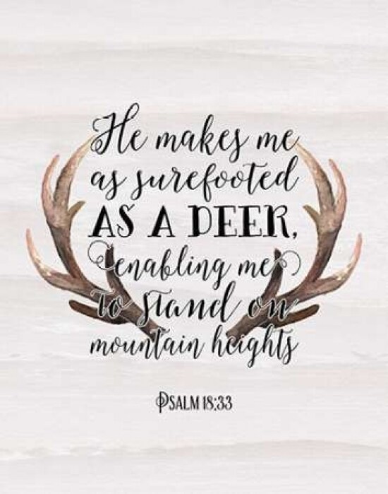 Psalm 18-33 Poster Print by  Tara Moss - Item # VARPDXTA1728