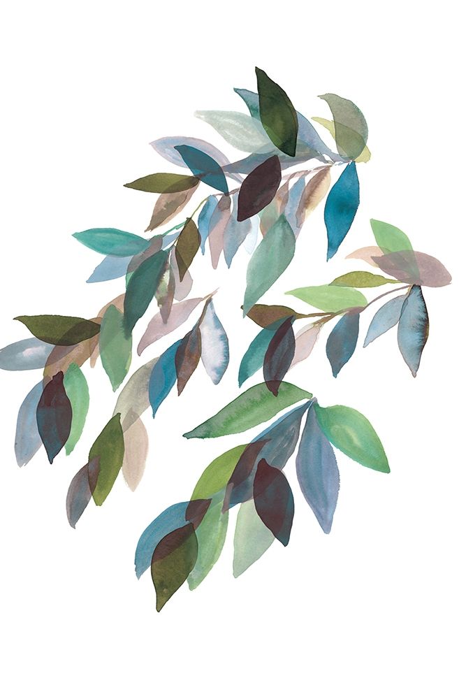 Leaf Collection Ii Poster Print by Rebecca Meyers - Item # VARPDXPOD60278
