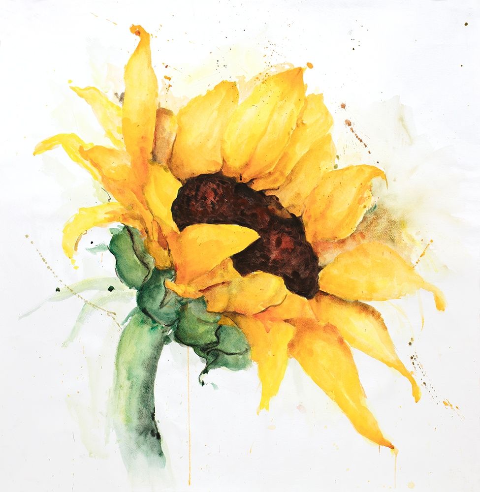 WATERCOLOR SUNFLOWER WITH PAINT SPLASH Poster Print by Atelier B Art Studio - Item # VARPDXBEGFLO239