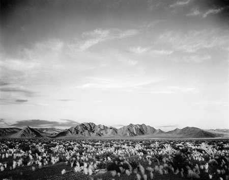 Distant mountains: desert and shrubs in foreground near Death Valley National Monument, California - Poster Print by Ansel Adams - Item # VARPDX460719