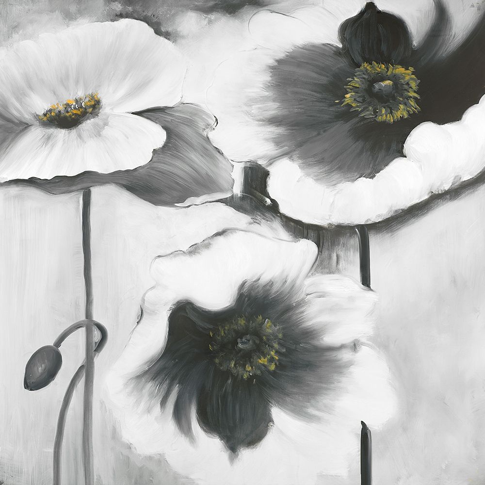 BLACK AND WHITE FLOWERS Poster Print by Atelier B Art Studio - Item # VARPDXBEGFLO120