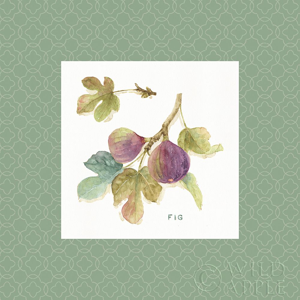 Orchard Bloom Iii Border Poster Print by Lisa Audit - Item # VARPDX22797
