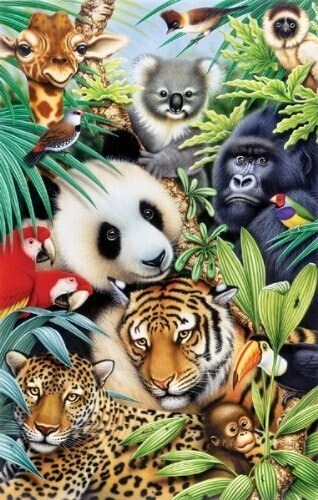 Sunsout Animal Magic 100 pc   Jigsaw Puzzle 59319