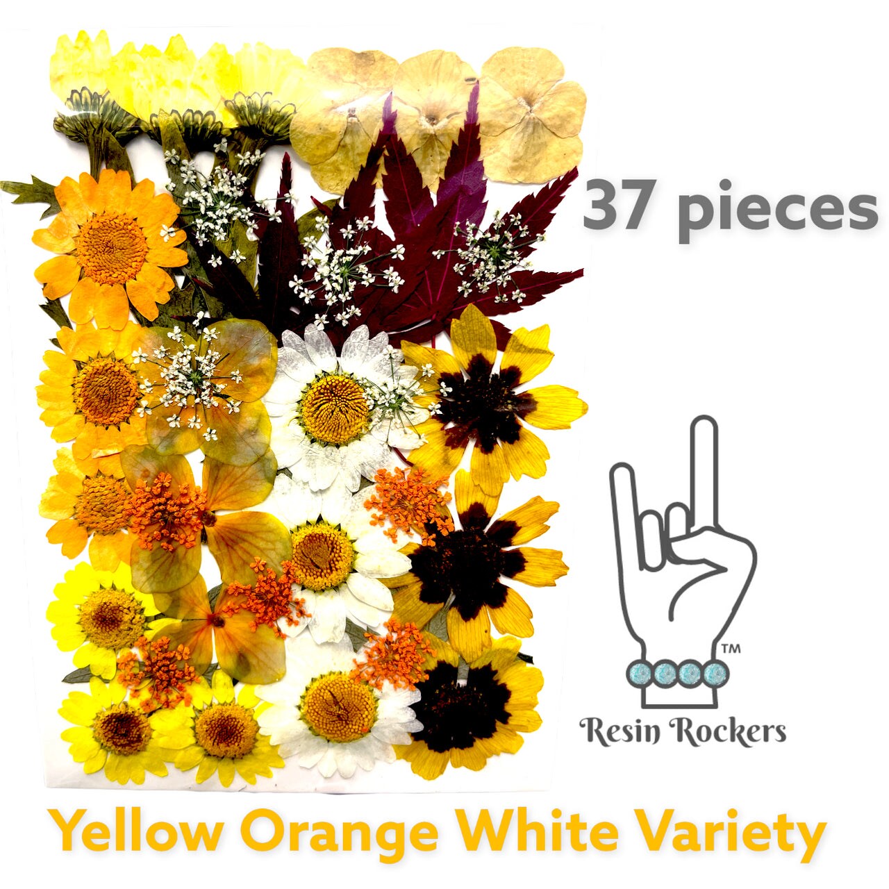 37 Piece Yellow Orange White Variety Dried Pressed Real Natural Flowers For Epoxy &#x26; UV Resin Art