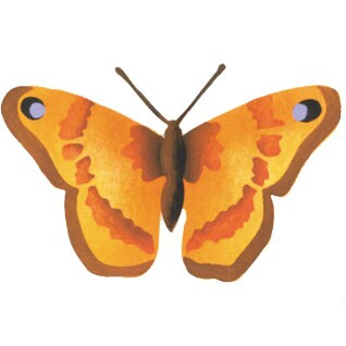 Admiral Butterfly Wall Stencil | 2684 by Designer Stencils | Animal & Nature Stencils | Reusable Art Craft Stencils for Painting on Walls, Canvas, Wood | Reusable Plastic Paint Stencil for Home Makeover | Easy to Use & Clean Art Stencil