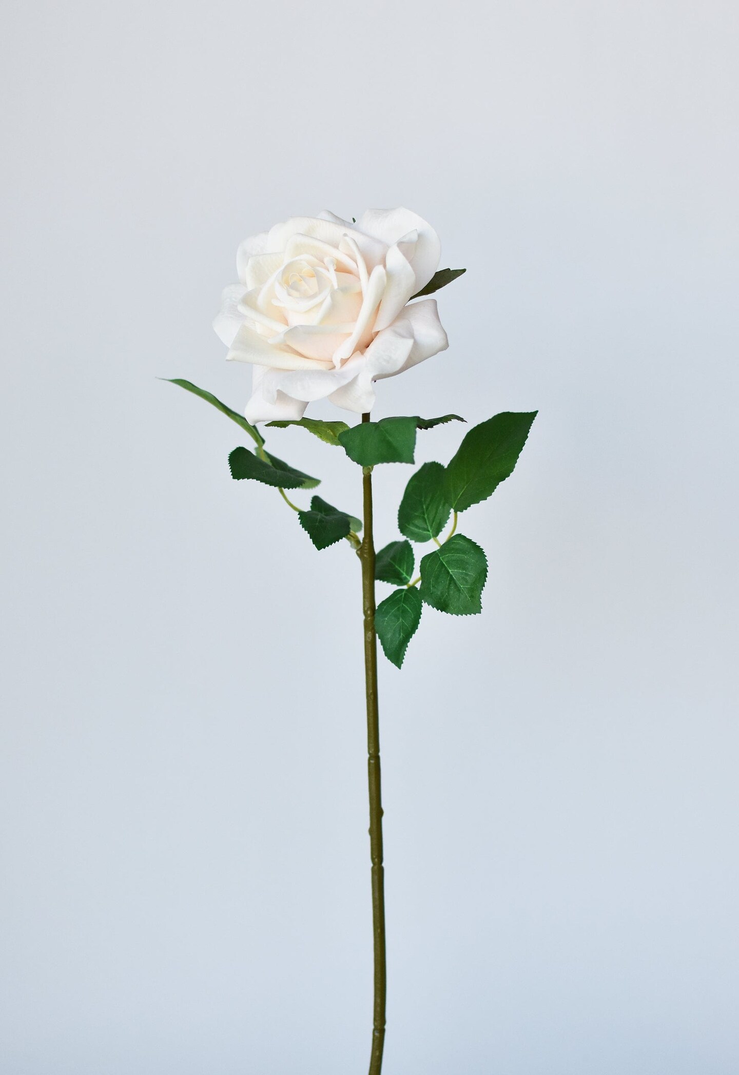 Real Touch Rose Ivory 78cm - R057 S1