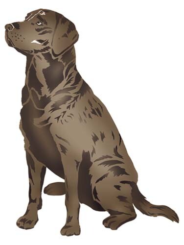 Labrador Retriever Dog Wall Stencil | 2697 by Designer Stencils |