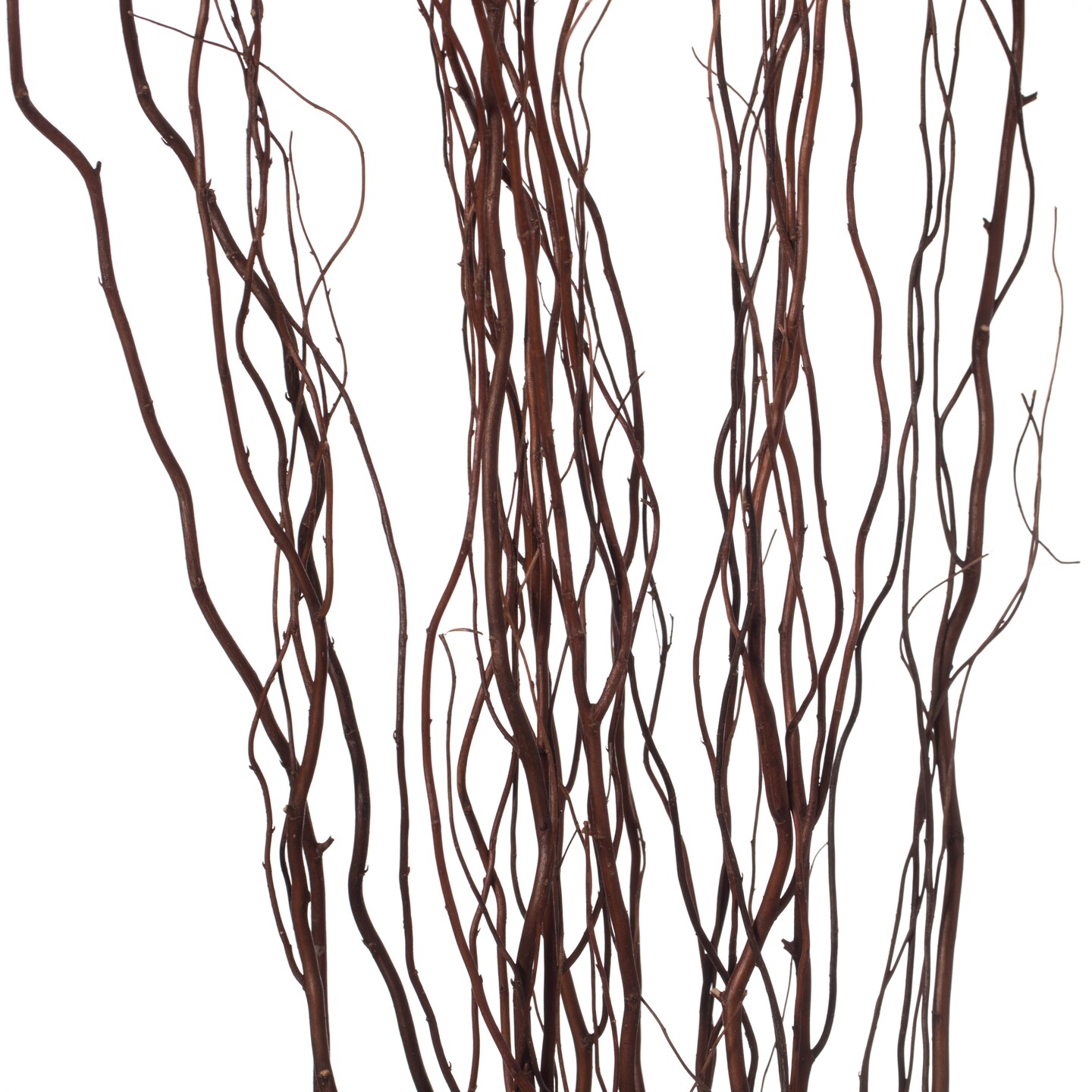 Natural Decorative Dry Branches Authentic Willow Sticks for Home Decoration  and Wedding Craft 