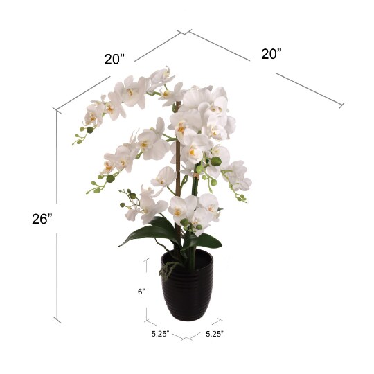 22-Inch Phalaenopsis Orchid Arrangement in Black Ribbed Ceramic Vase - Lifelike Silk Flowers & Latex Foliage for Elegant Home & Office Décor - Timeless Floral Arrangement, Floral Home by Artificial Flowers