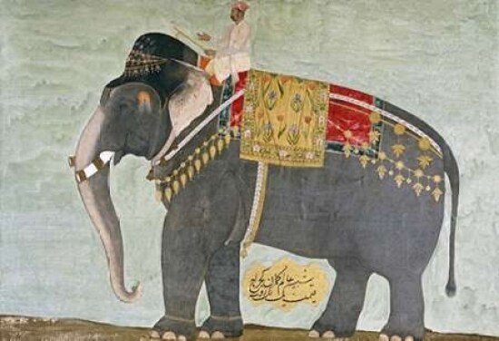 Portrait of The Elephant Alam-Guman Gajraj Poster Print by Mughal - Item # VARPDX266925