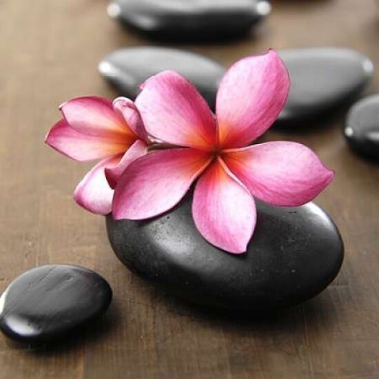 Zen Pebbles Poster Print by PhotoINC Studio - Item # VARPDXIN38017