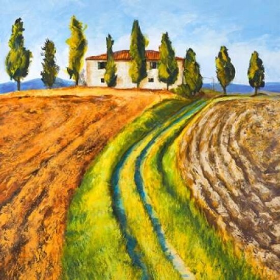 Casa di campagna Poster Print by Massimo Germani - Item # VARPDX1GM2981