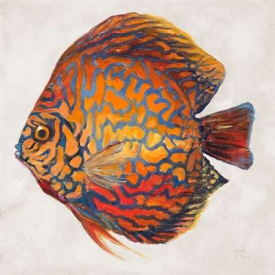Little Fish II Poster Print by Patricia Pinto - Item # VARPDX9213