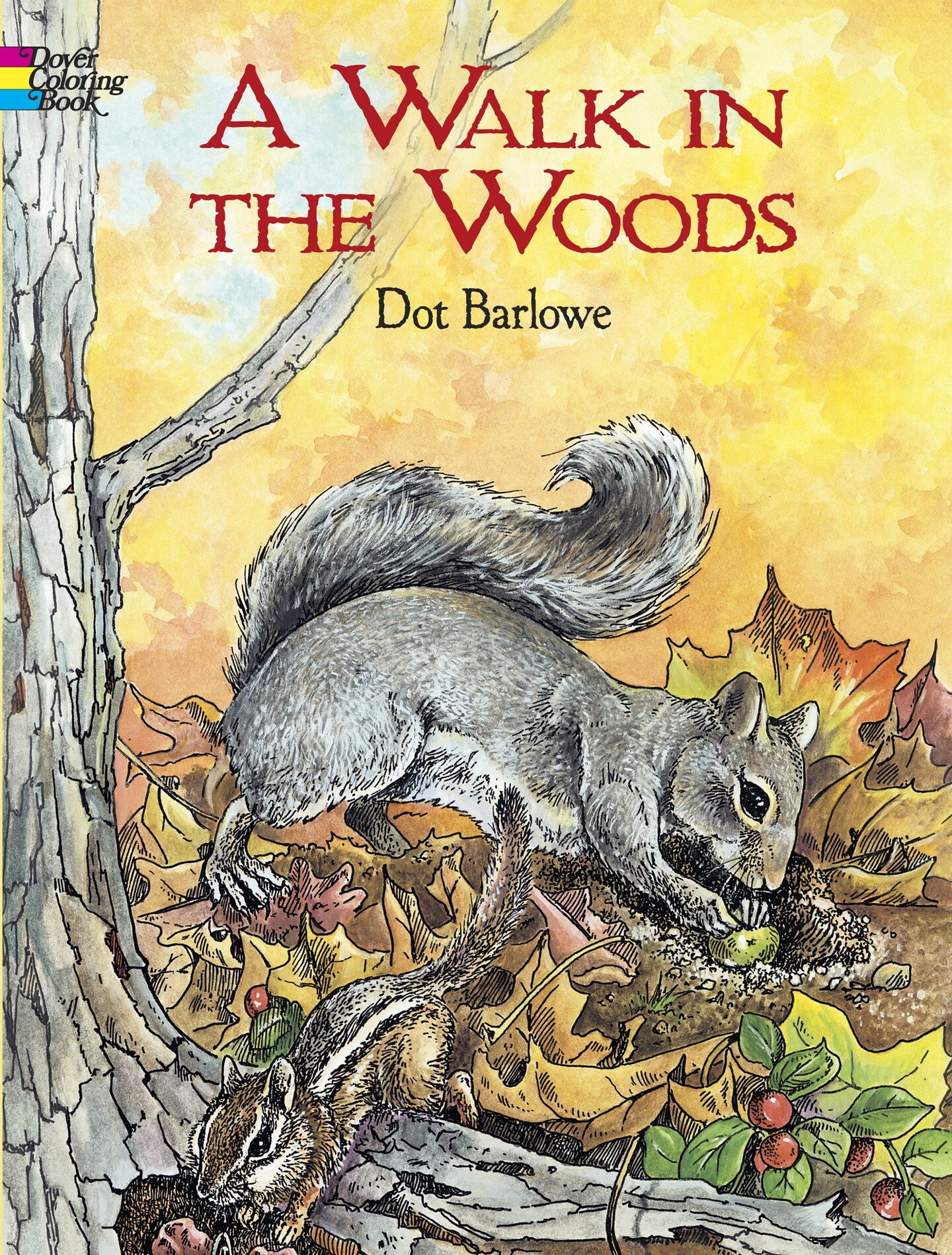 A Walk In The Woods Coloring Book-
