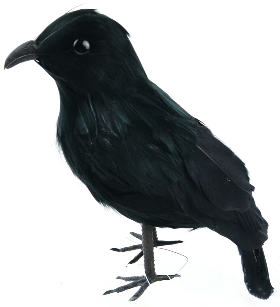 Feather Crow On Wire 10&#x22;-Black