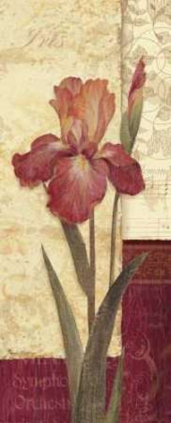 Quattro Sonata II Poster Print by Pamela Gladding - Item # VARPDXGLA491