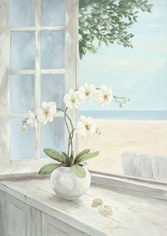 Seashell Poster Print by Linda Moore - Item # VARPDX2546