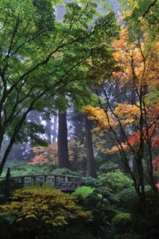 Japanese Gardens III Poster Print by Brian Moore - Item # VARPDXPSMRE138