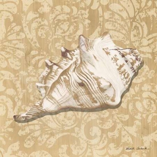 Shell Study III Poster Print by Nikita Coulombe - Item # VARPDXRB9940NC