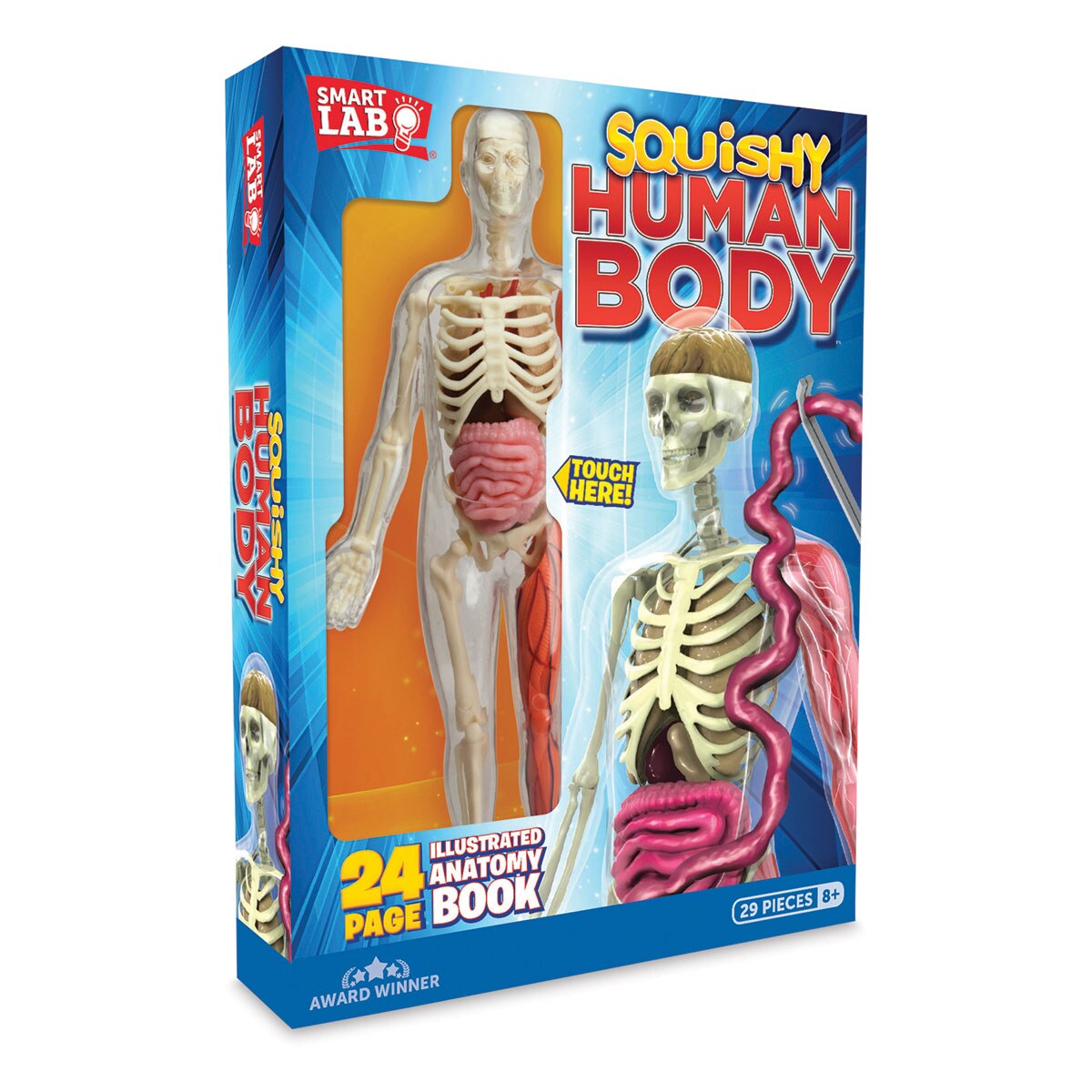 SmartLab Squishy Human Body Kit