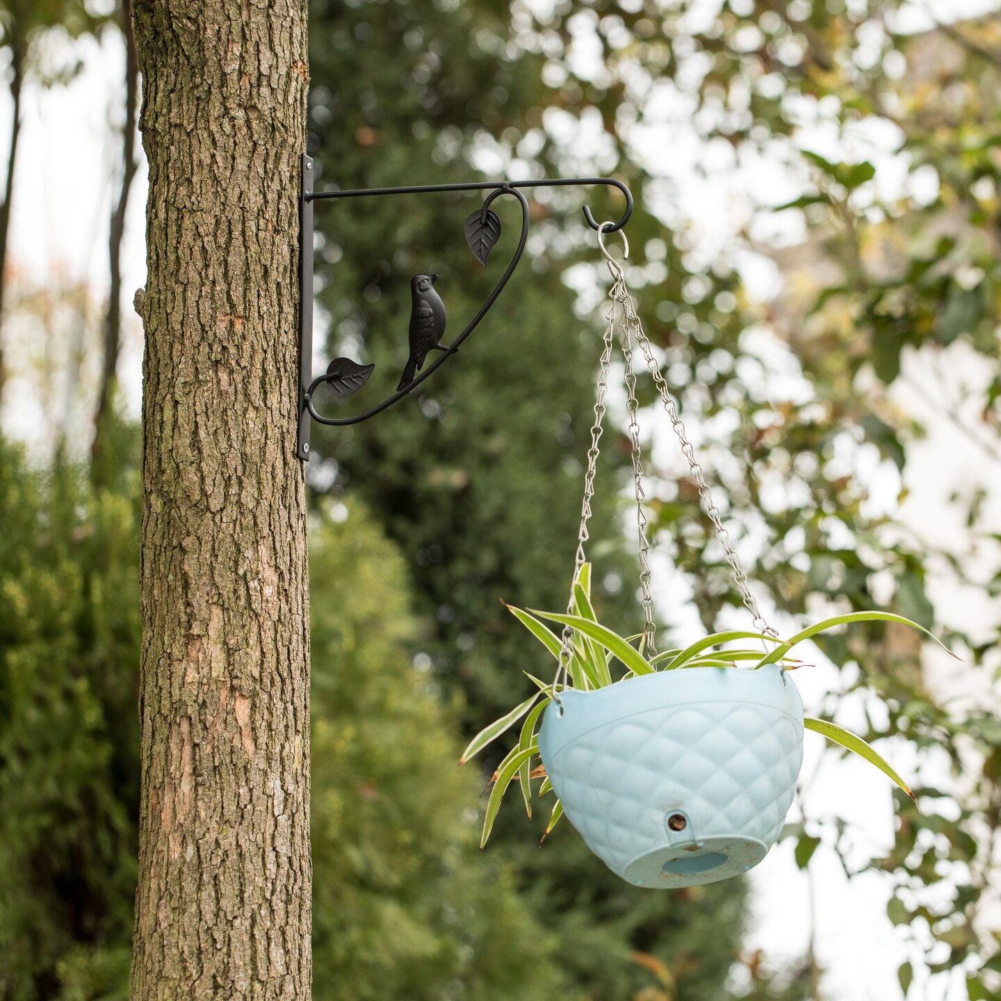 Decorative Black Metal Wall Planter Hooks for Hanging Plants and Flower Pots, Set of 2