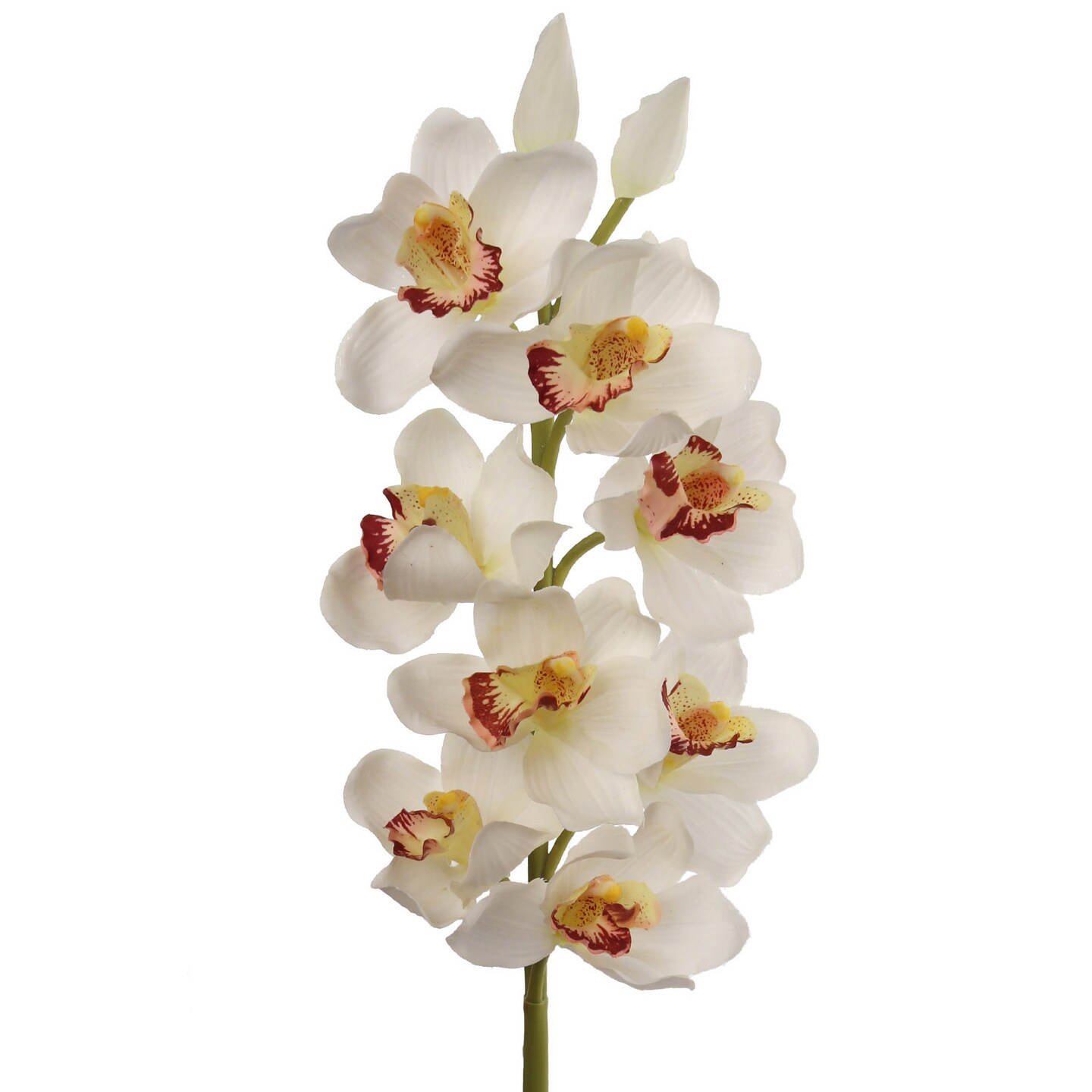 Artificial Cymbidium Stem with 10 Real Touch Flowers &#x26; 2 Buds | 30-Inch | Cream | Floral Stems | Parties &#x26; Events | Home &#x26; Office Decor