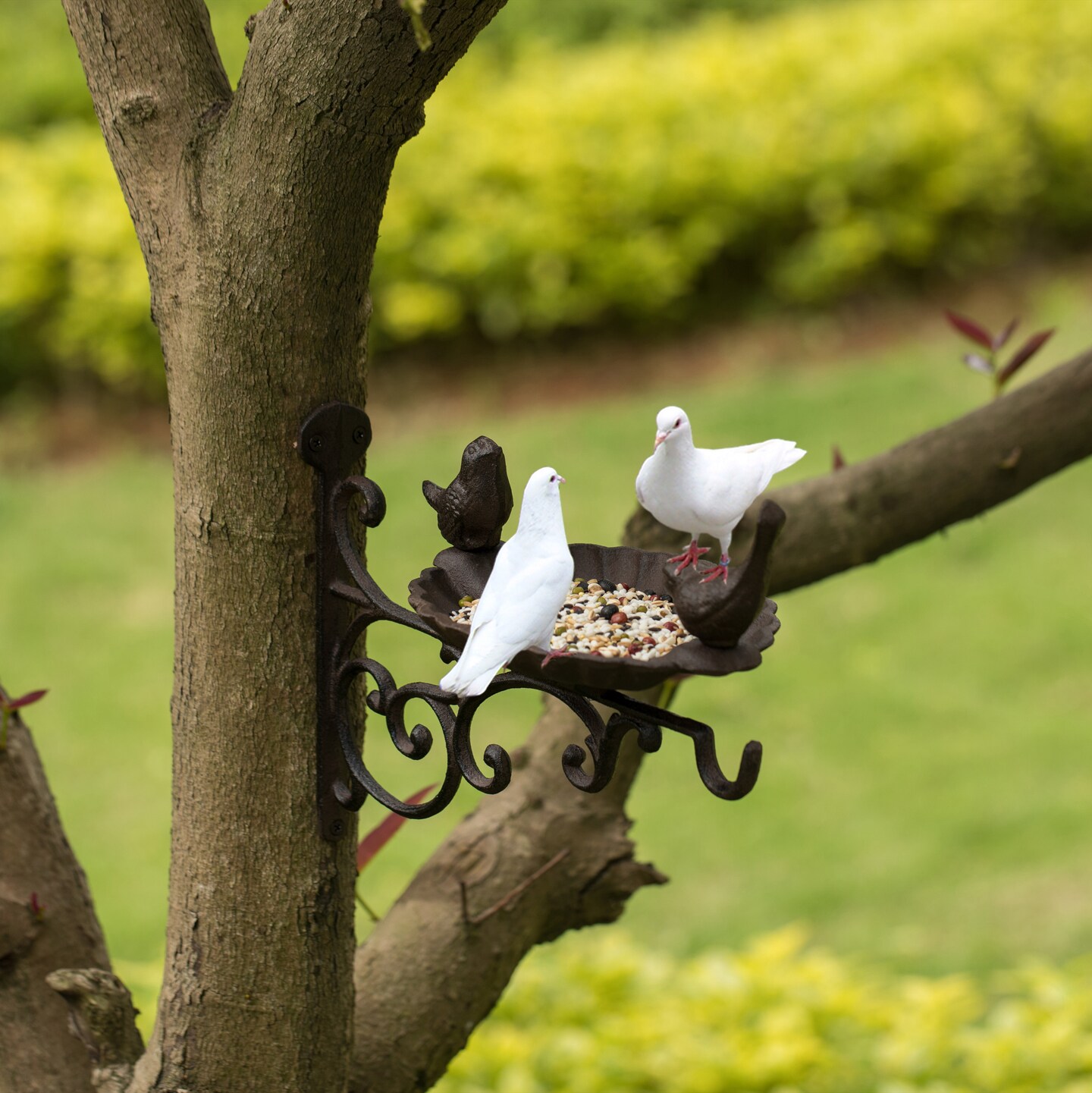 Outdoor Garden Wall Mounted Hanging Iron Bird Bath and Feeder Decor, Bronze