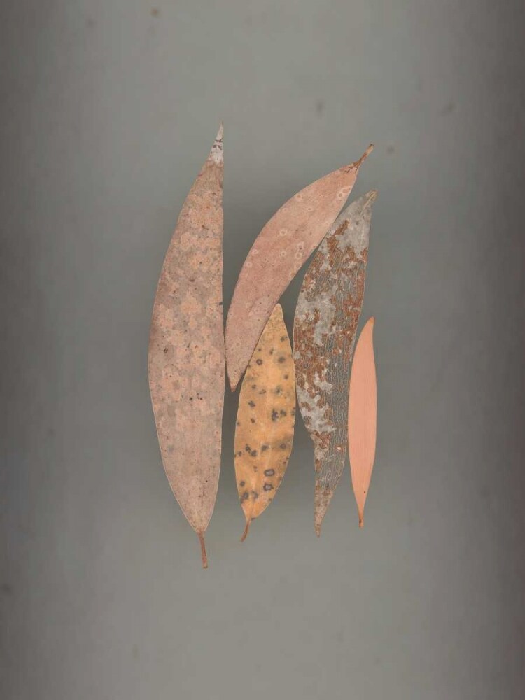 Assemblage 84 Poster Print by John Watson - Item # VARPDXJW106T