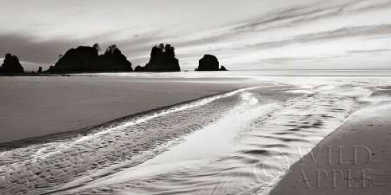 Shi Shi Point of Arches Poster Print by Alan Majchrowicz - Item # VARPDX11327