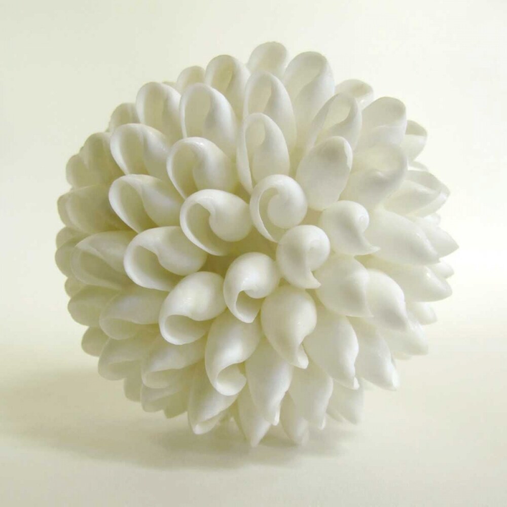 Shell Iii Poster Print by Darlene Shiels - Item # VARPDXDS114Y