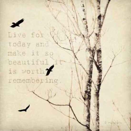 Birds and Branches II Poster Print by Amy Melious - Item # VARPDXMEL397